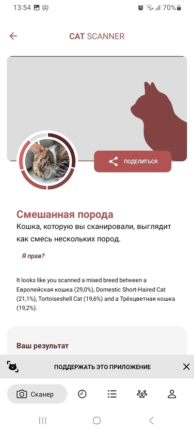 ����������� � �����������