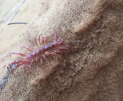 Èëëþñòðàöèÿ ê êîììåíòàðèþ