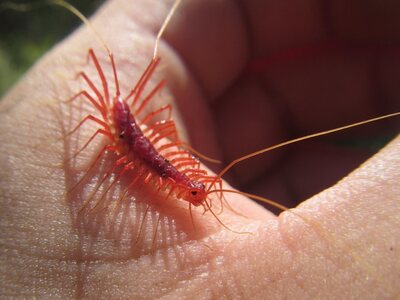 Èëëþñòðàöèÿ ê êîììåíòàðèþ