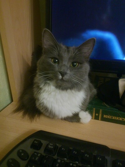 Иллюстрация к комментарию