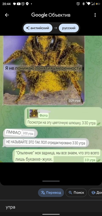 ����������� � �����������