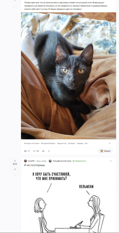 ����������� � �����������