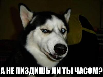 Иллюстрация к комментарию