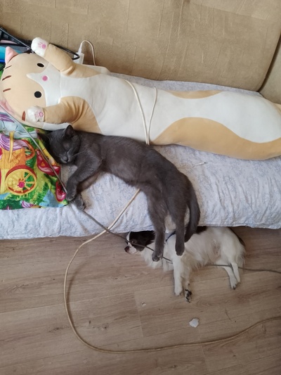 Иллюстрация к комментарию