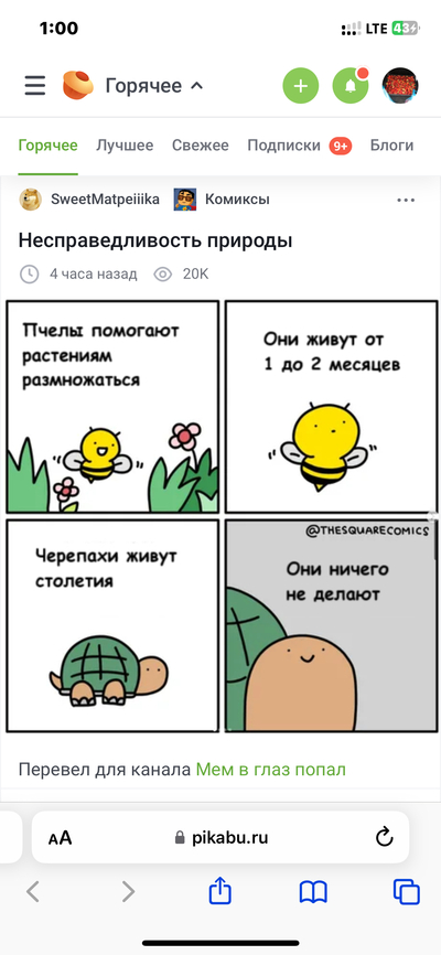 Иллюстрация к комментарию