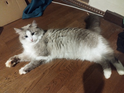 Иллюстрация к комментарию