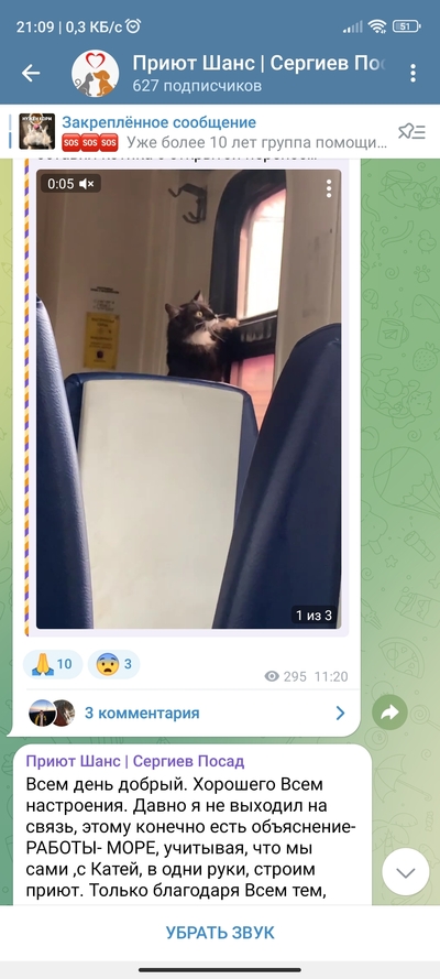 ����������� � �����������