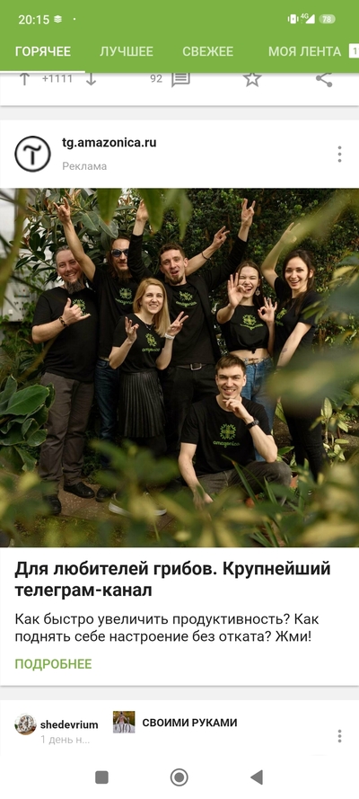 ����������� � �����������