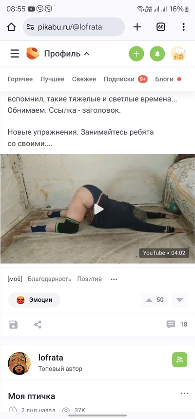 ����������� � �����������