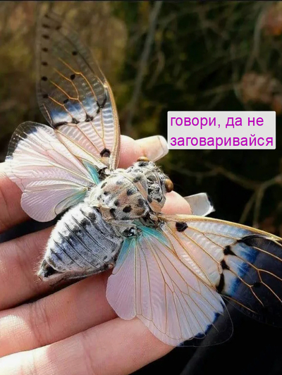 Иллюстрация к комментарию