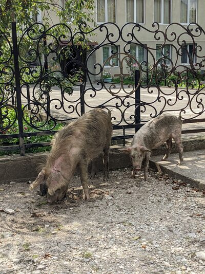 ����������� � �����������