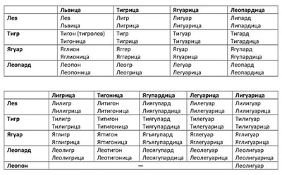 ����������� � �����������