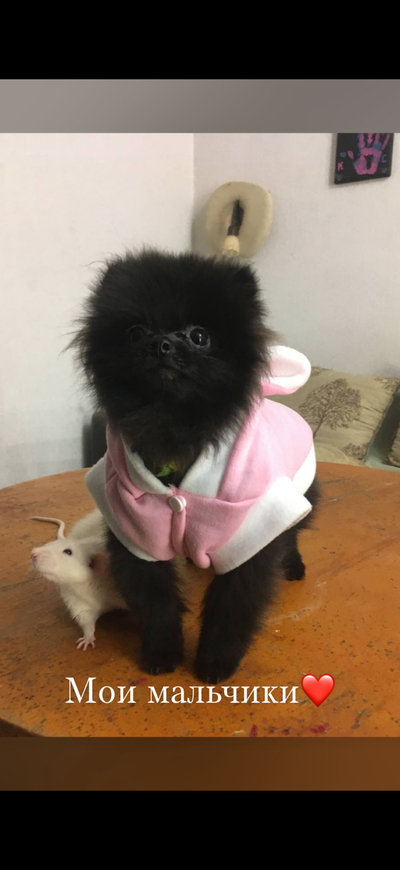 Иллюстрация к комментарию