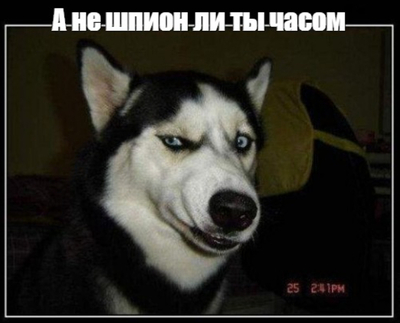 Иллюстрация к комментарию