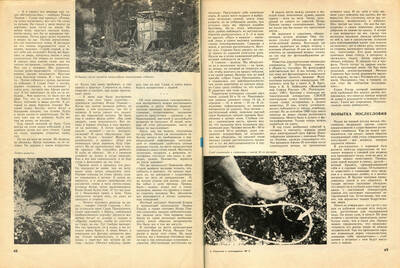 ����������� � �����������