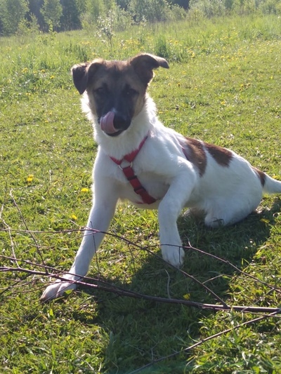 Иллюстрация к комментарию