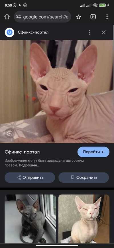 Иллюстрация к комментарию