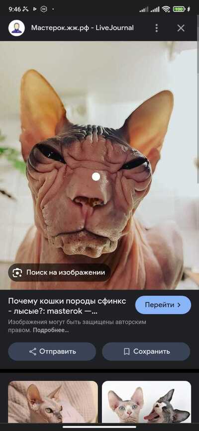 Иллюстрация к комментарию