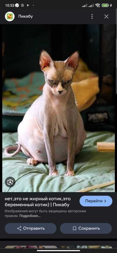 Иллюстрация к комментарию