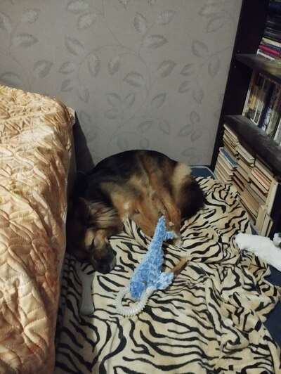 Иллюстрация к комментарию