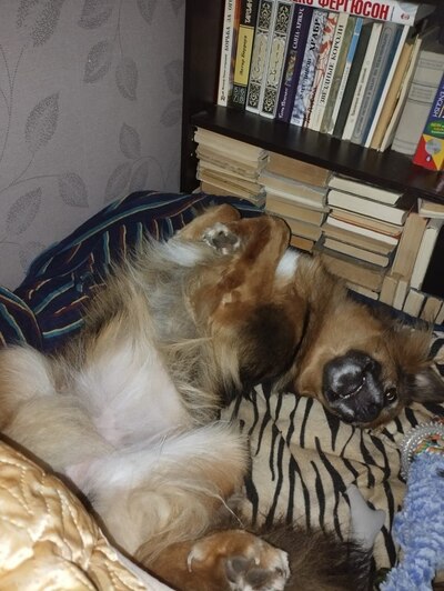 Иллюстрация к комментарию