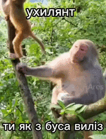 Предпросмотр