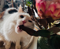 ������������