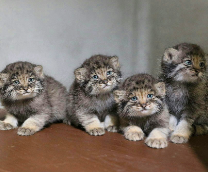 �� � � ������