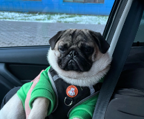 � � ��� ������� ����� 