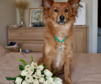 ��� �� ������ ��������