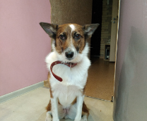 ��������� �����, ����� ������ �� ������.