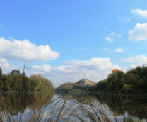 ����������� �������