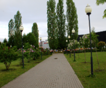 ����� �.�������