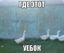 ������� �����