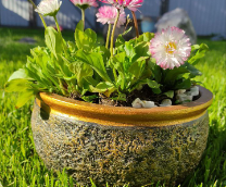 �������� �����