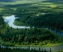 ����� ���������