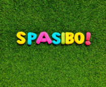 ������������� ���������