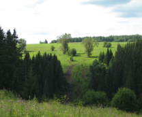 �������