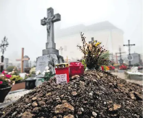 ������ �� ��� ������