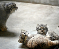 ������� � ��������� 2024