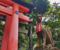 ������ ����������, ������.