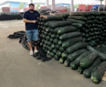 ���������� �����