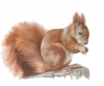 �������