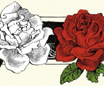 ����� ���� � ����� ����.