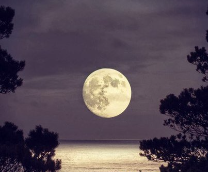 �������� ���� ����