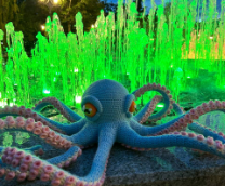 ������� ������� 