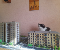 ����� ������ � �������� 1:87 �� �������!