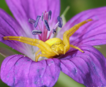 �������������