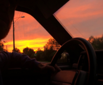 �������� ����