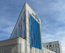 �������� ����